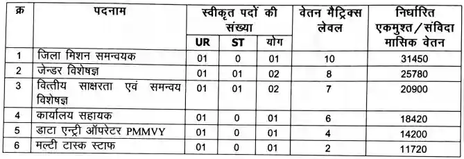 Raigarh Data Entry Operator Vacancy 2023