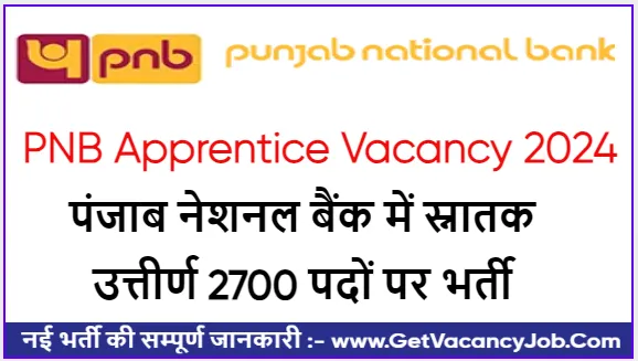 PNB Apprentice Vacancy 2024